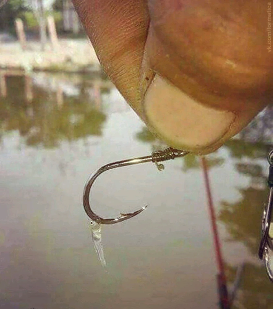 rmzn tarafından yüklenen görsel