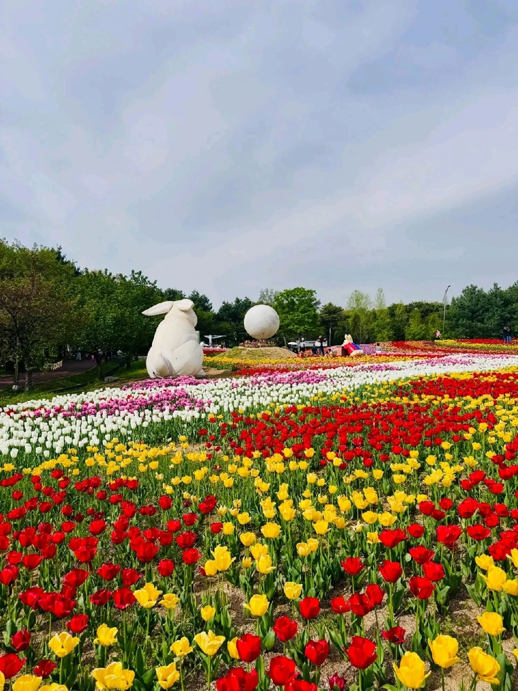 Image uploaded by Kunu