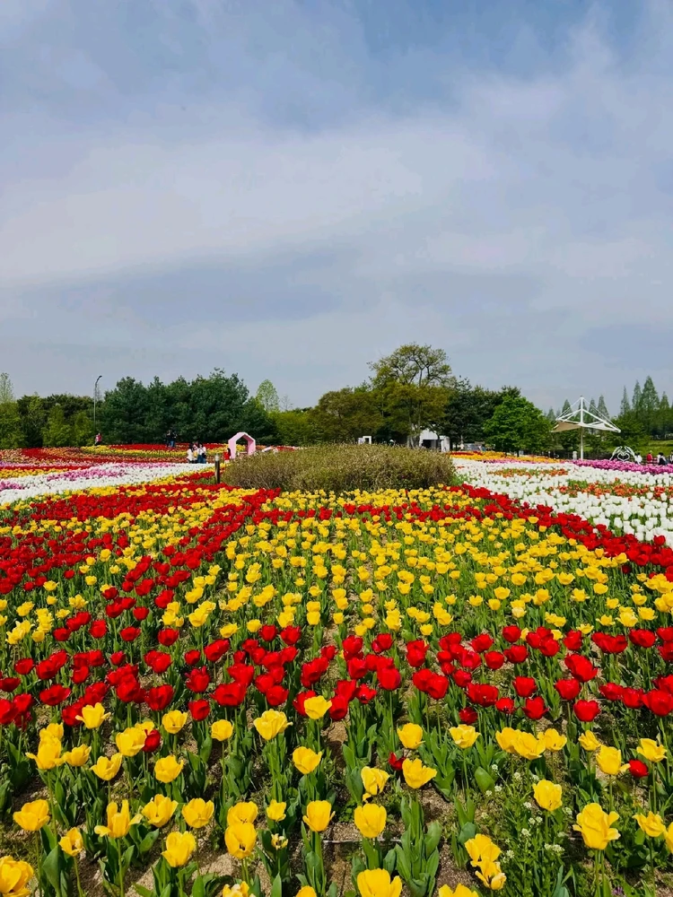 Image uploaded by Kunu