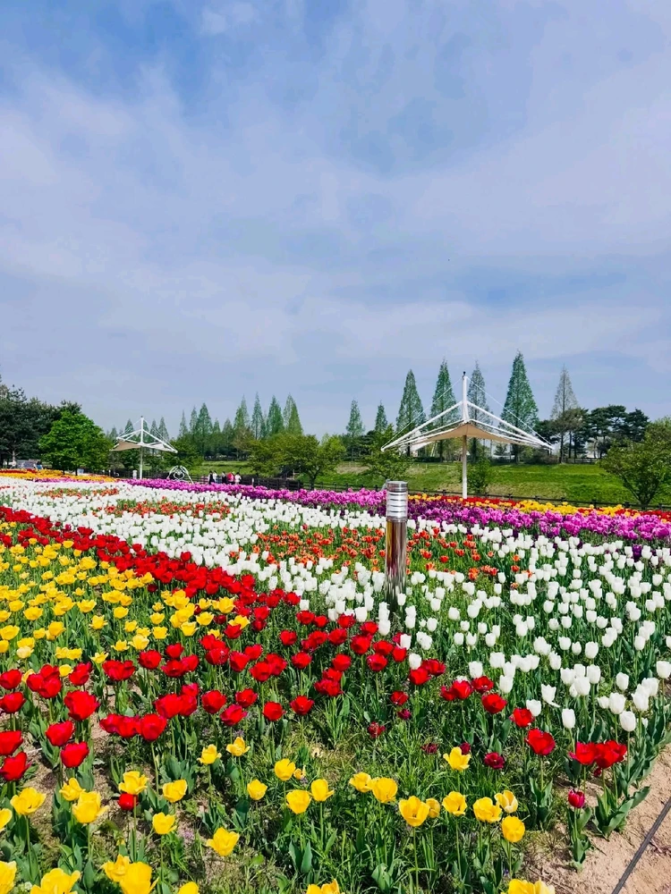 Image uploaded by Kunu