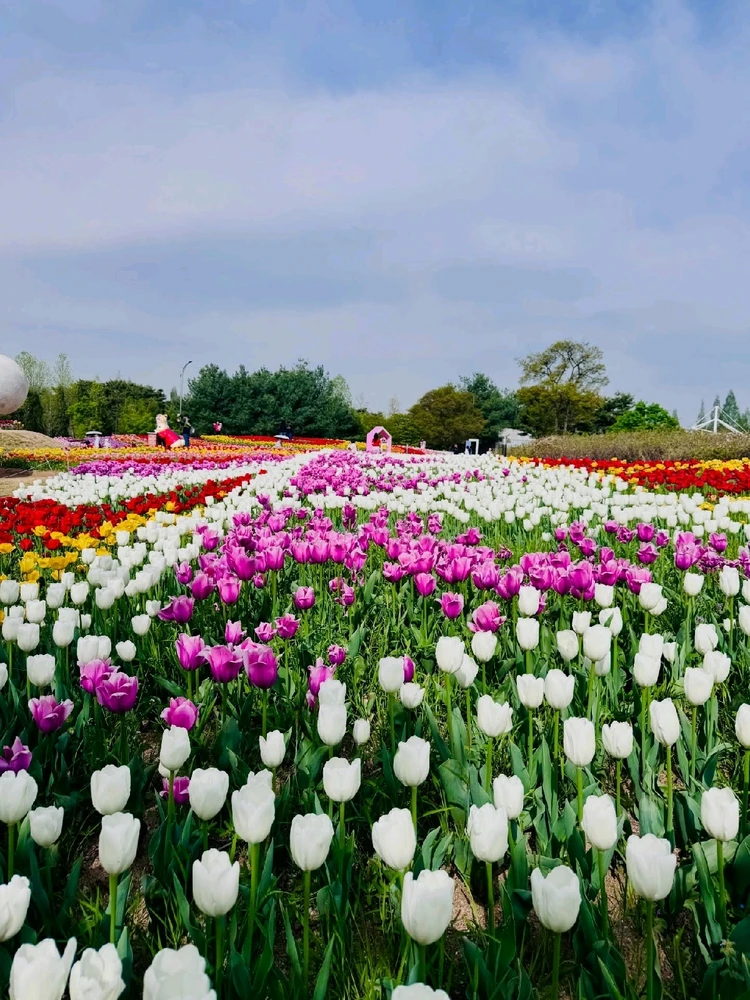 Image uploaded by Kunu