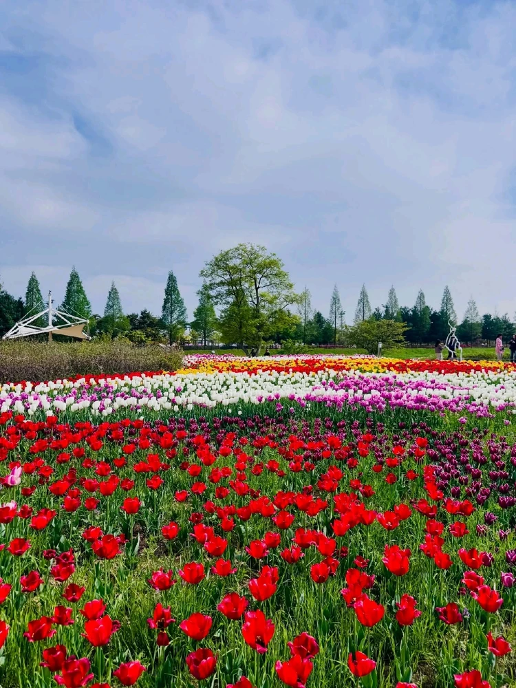 Image uploaded by Kunu