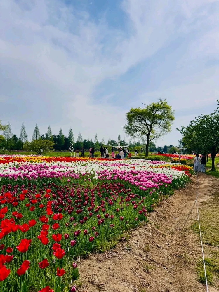 Image uploaded by Kunu