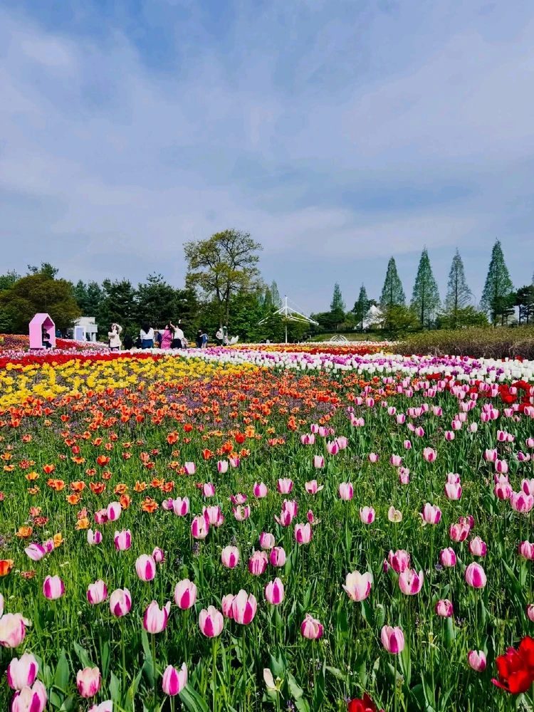 Image uploaded by Kunu