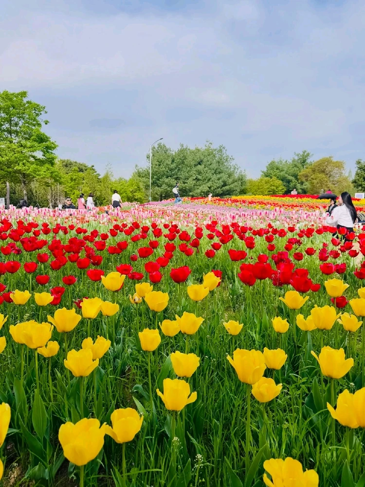 Image uploaded by Kunu