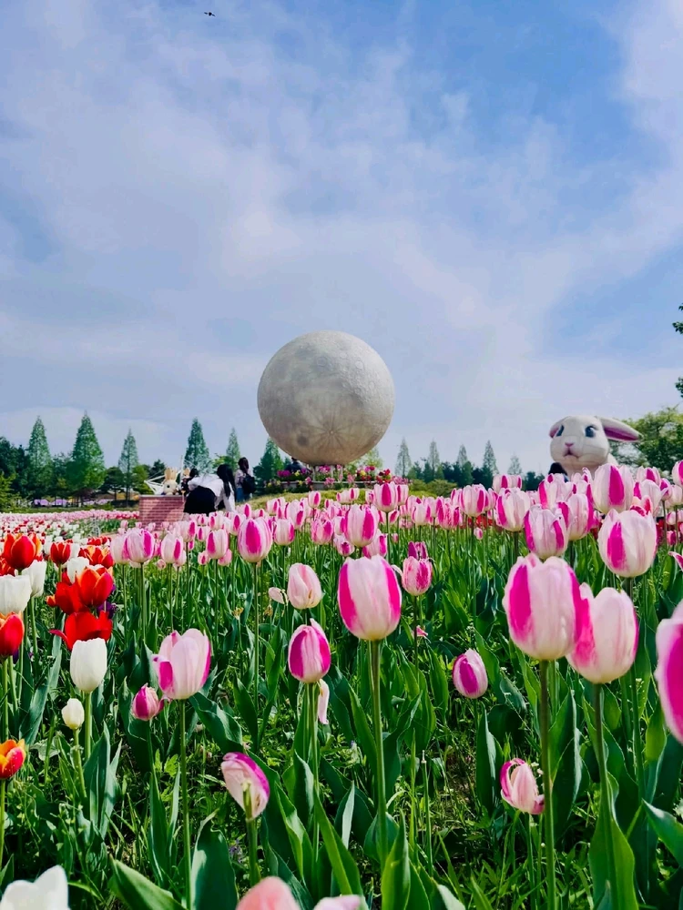 Image uploaded by Kunu
