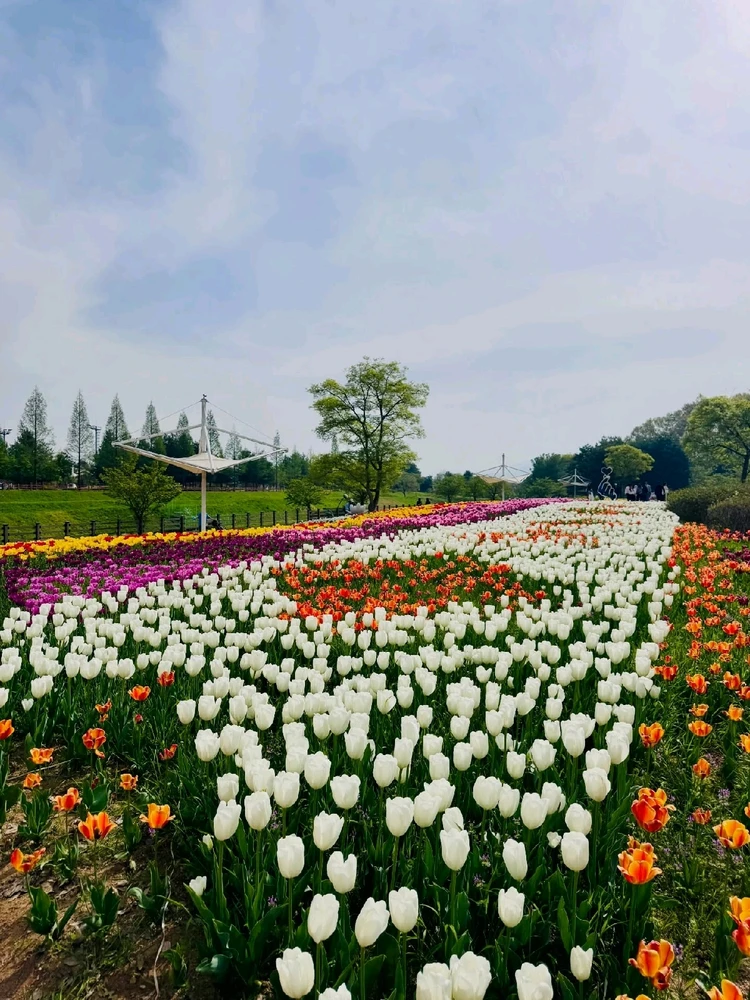 Image uploaded by Kunu