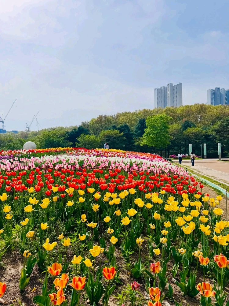 Image uploaded by Kunu