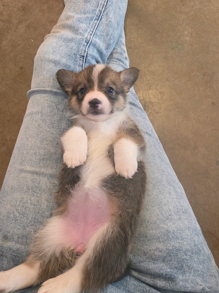 GIF uploaded by Aly