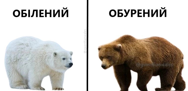 Гіфку завантажив Андрій