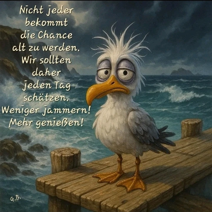 GIF hochgeladen von Teasy