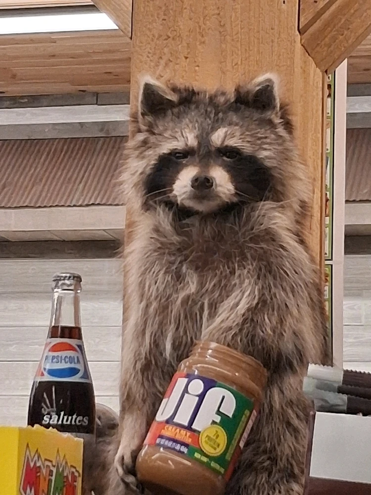 Image uploaded by Luna