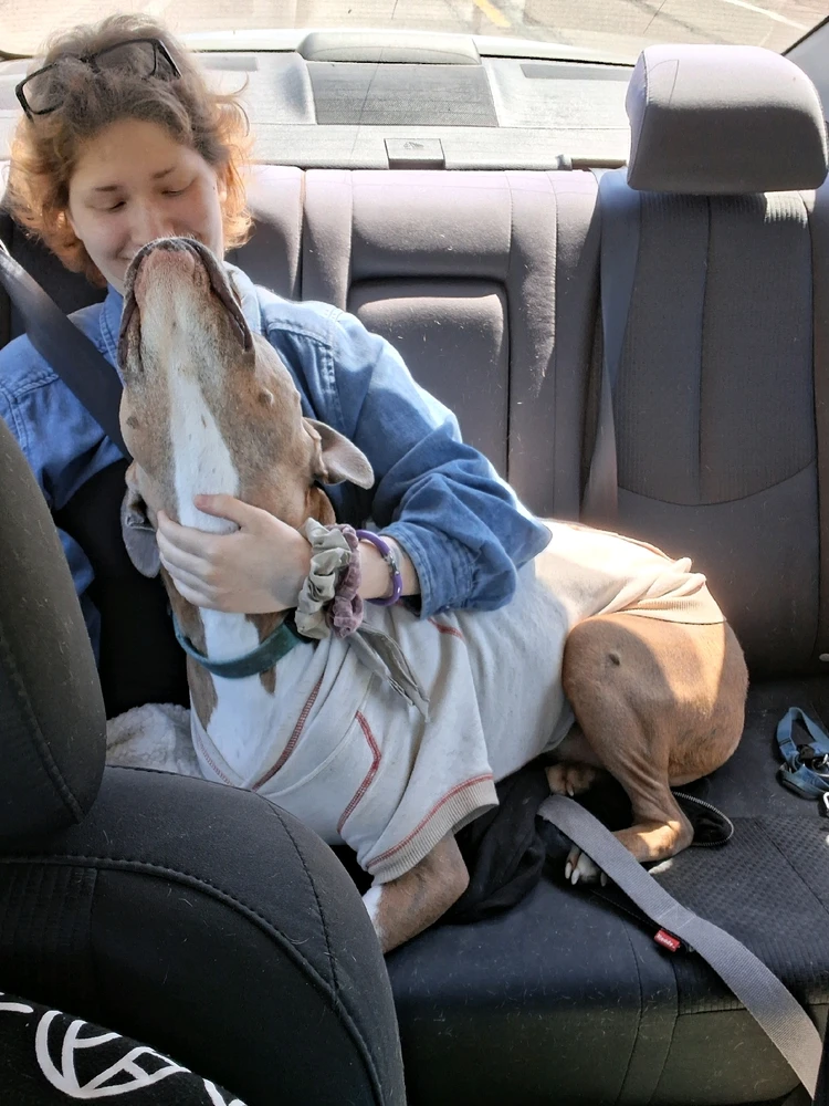 Image uploaded by Luna