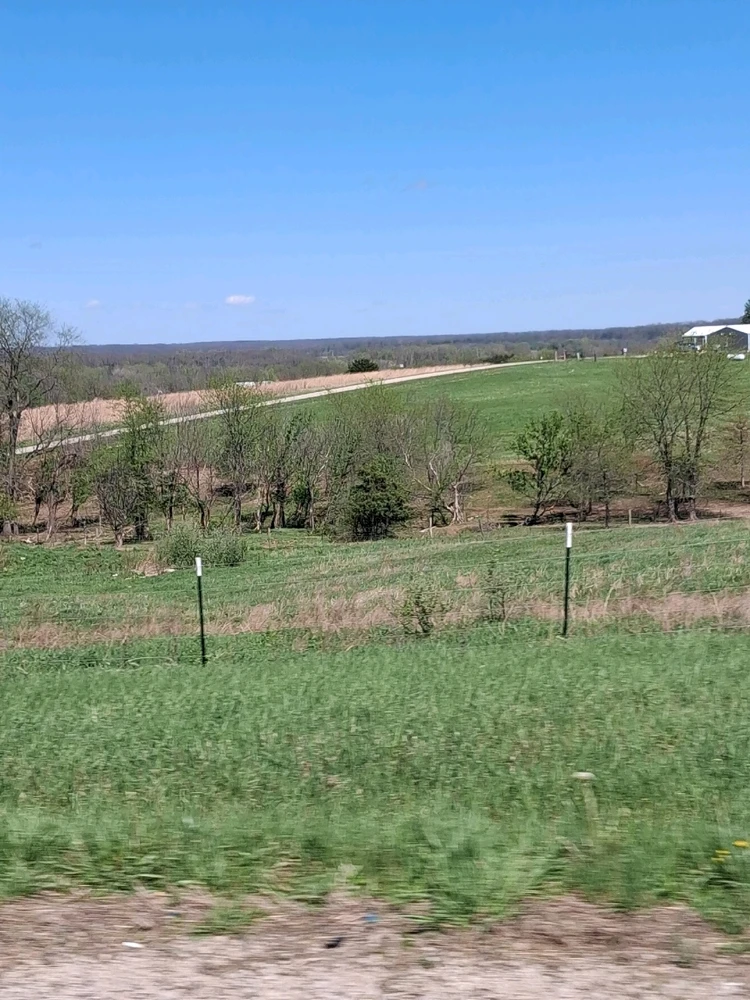 Image uploaded by Luna