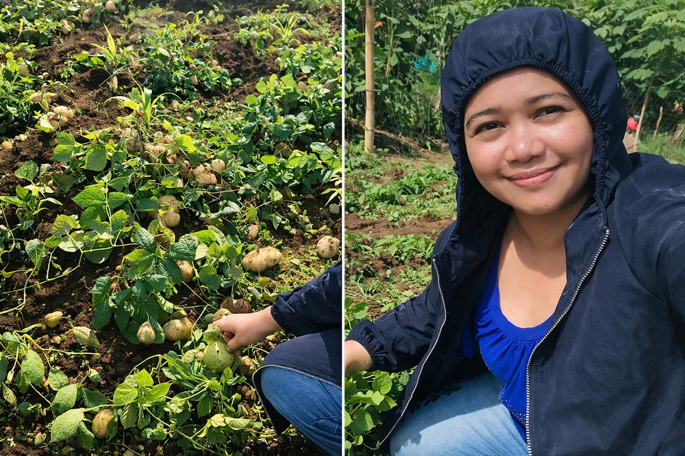 Image uploaded by Sustainable Minds