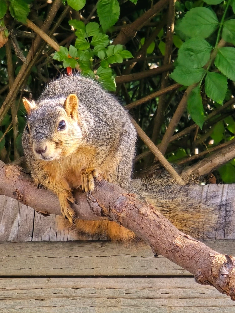 GIF uploaded by William