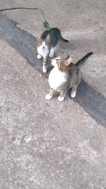 GIF postavljen od Nermin