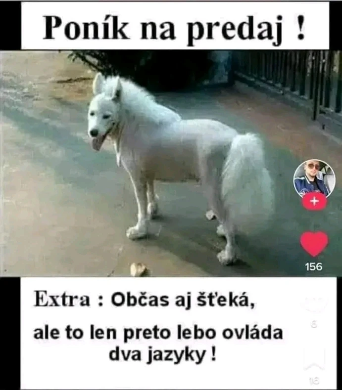GIF nahrál zero