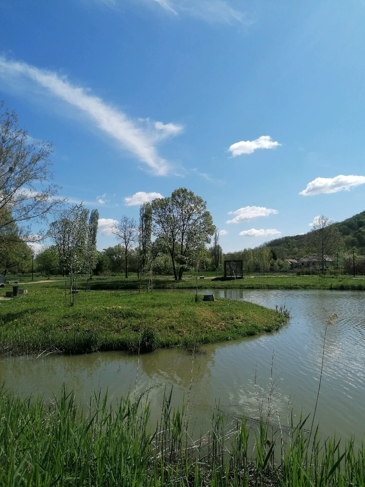 Image uploaded by Szabolcs