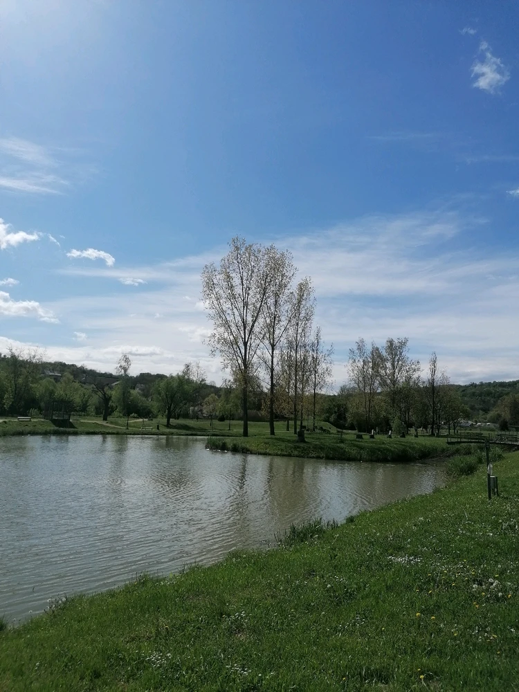 Image uploaded by Szabolcs