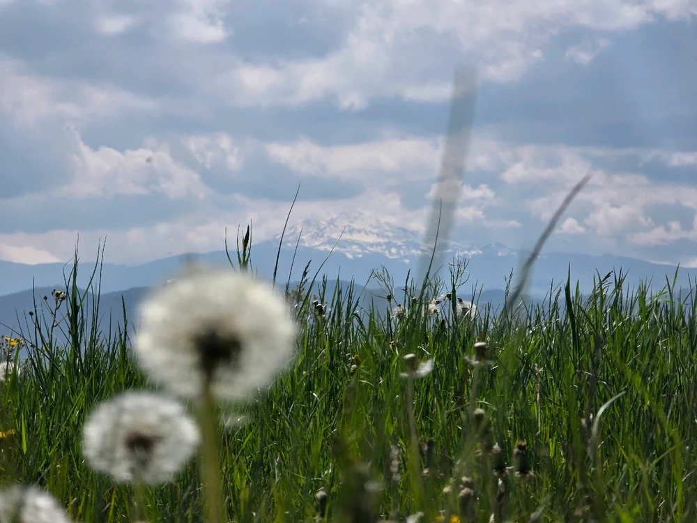 Image uploaded by Davide