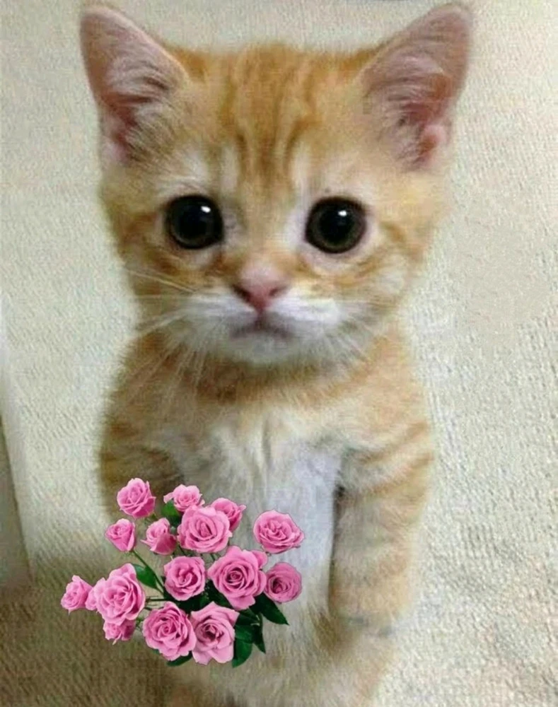 GIF uploaded by Amlan