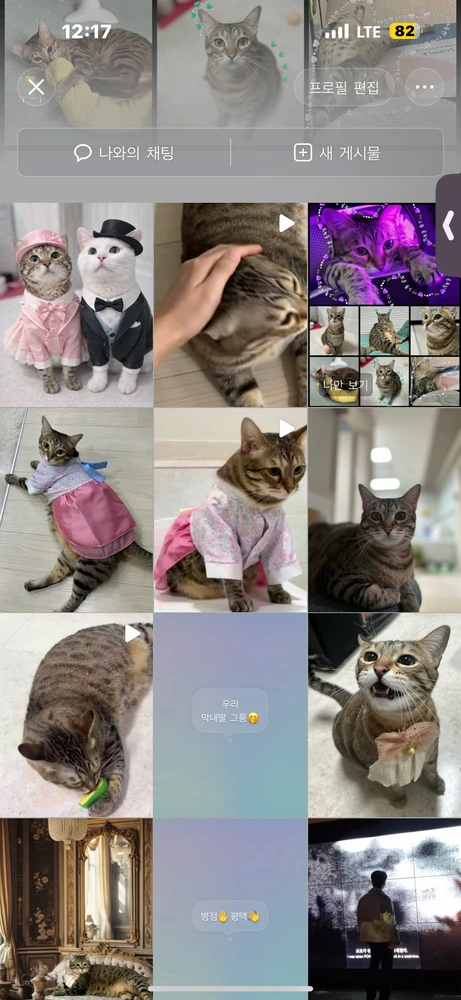 그릉님이 올린 GIF