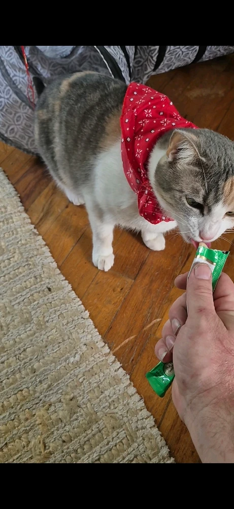 GIF uploaded by Austin