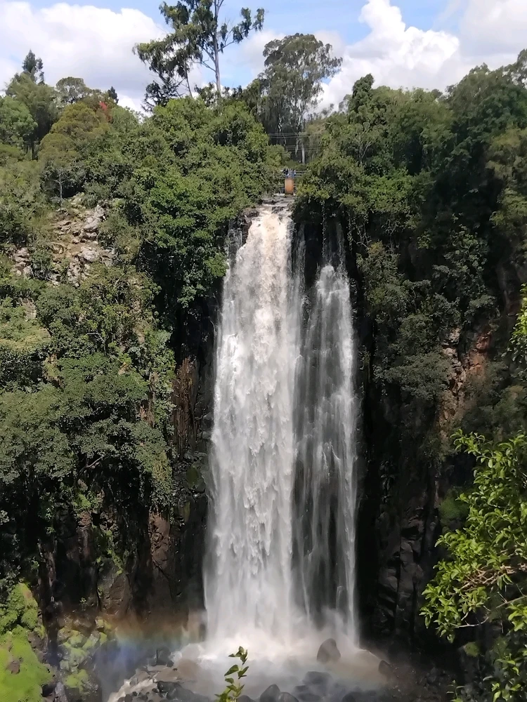 GIF uploaded by Nelson