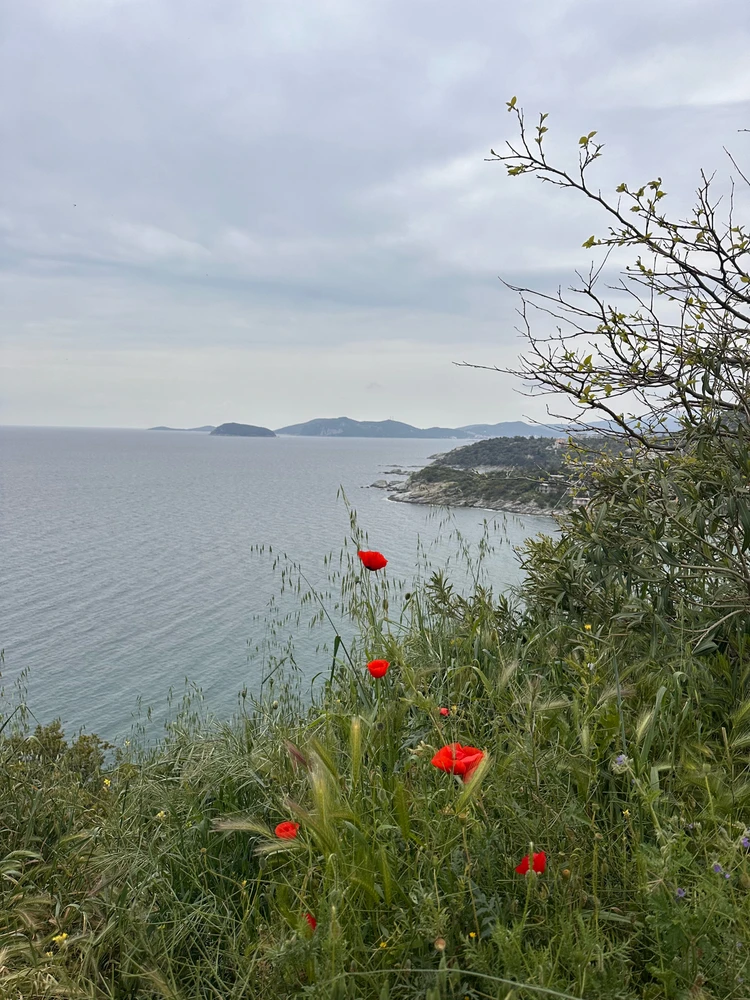 GIF uploaded by Victor