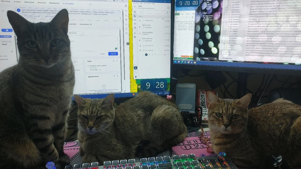 GIF uploaded by ❤ Sophia aka Mango Mami ❤️