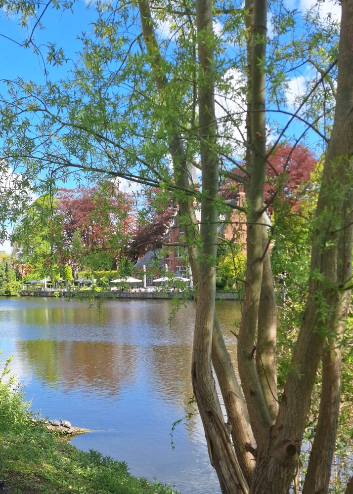 GIF uploaded by Alasdair