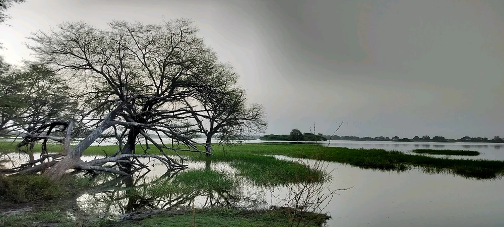Image uploaded by DG