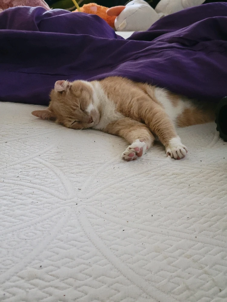 GIF uploaded by El