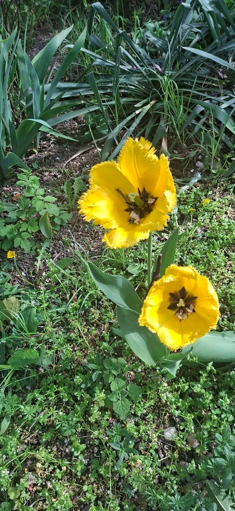 GIF uploaded by Francisc