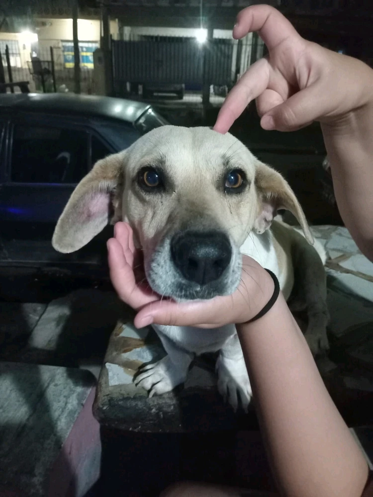 GIF subido por Antonella