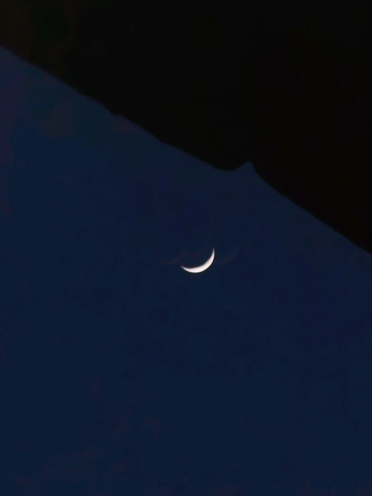 GIF загружаны Rose