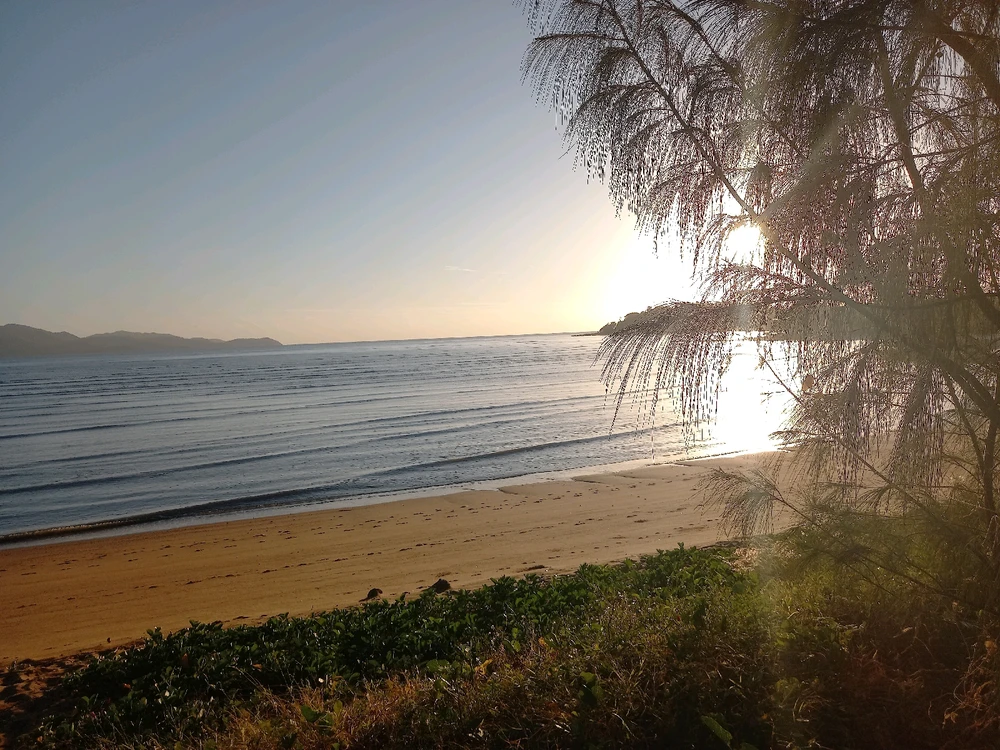 Image uploaded by Brenton
