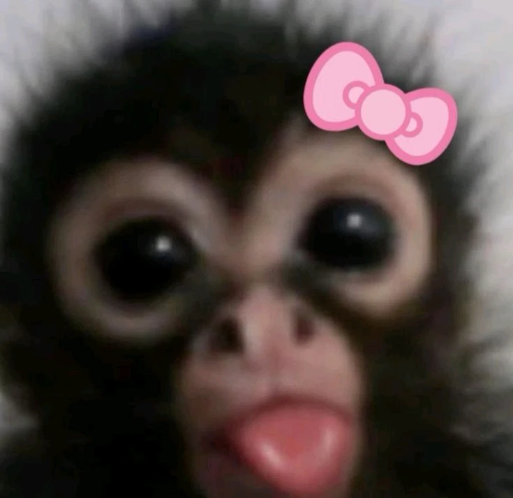 GIF subido por Leyla