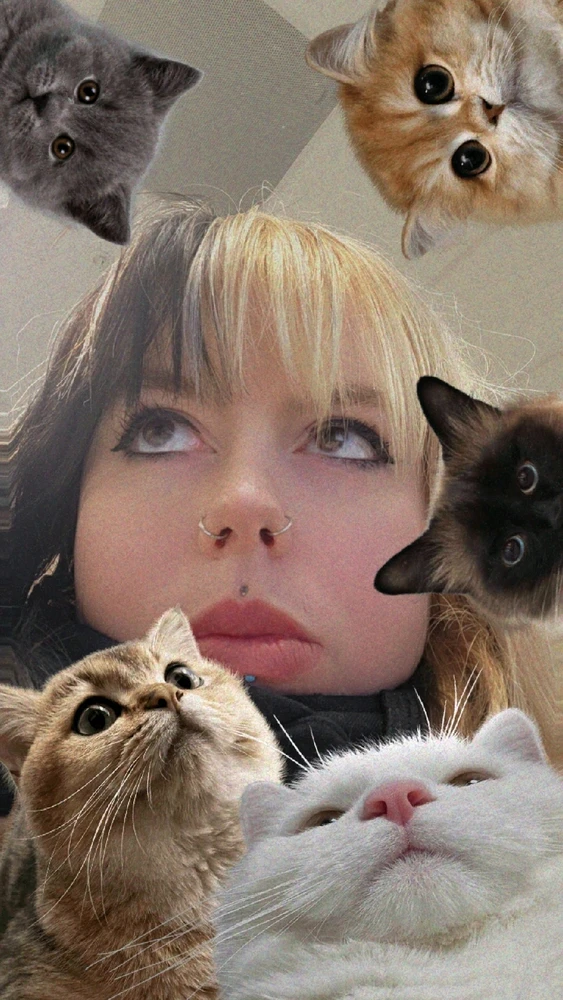 GIF uploaded by Alex