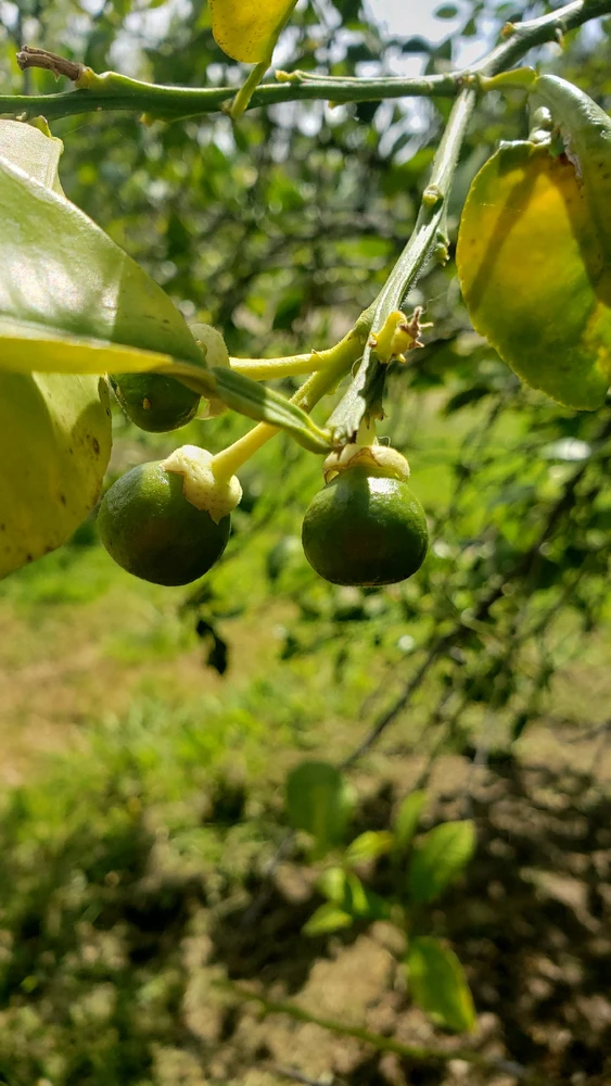 GIF uploaded by laila♡