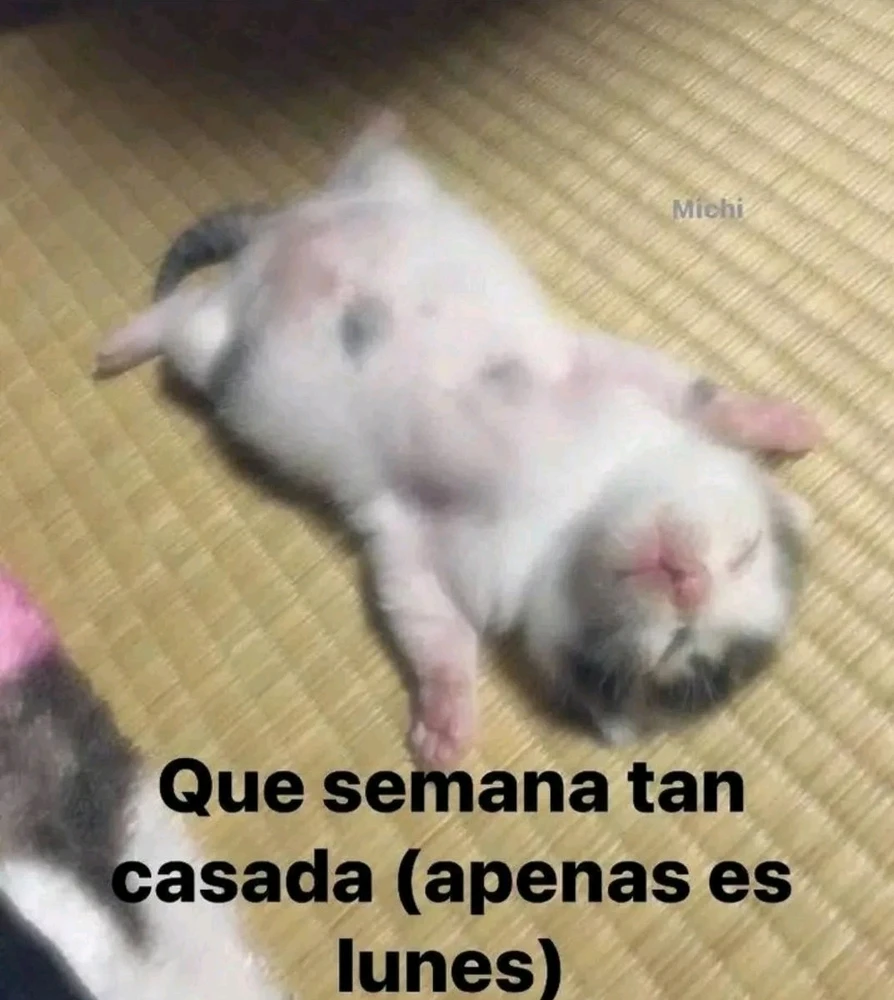 GIF subido por Lucero