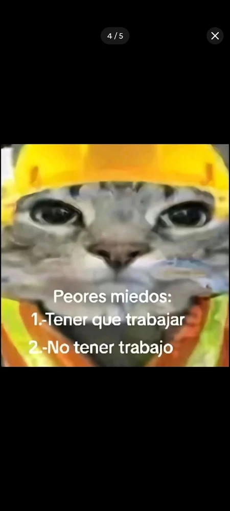 GIF subido por Saúl