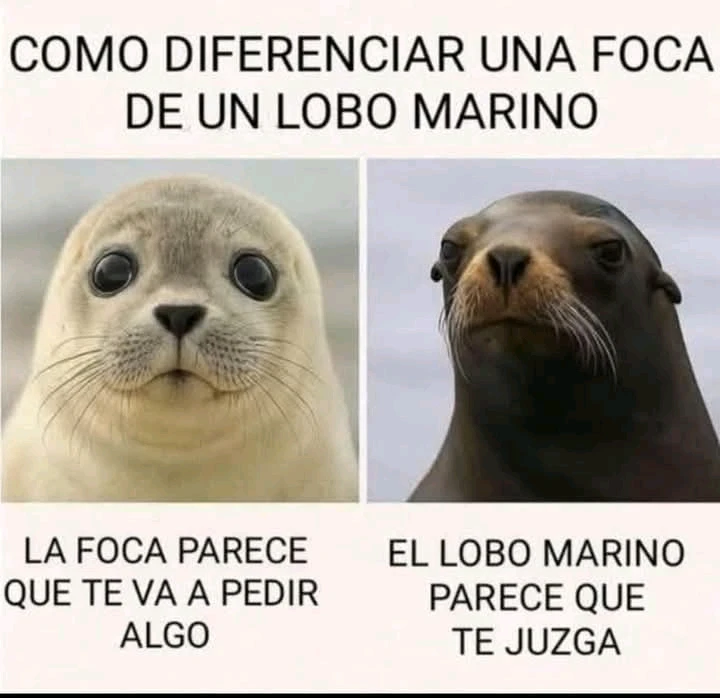 GIF subido por Paola