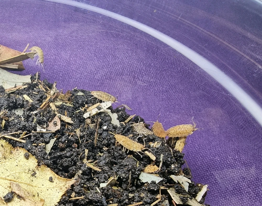 Image uploaded by J-Klamp😜🐒