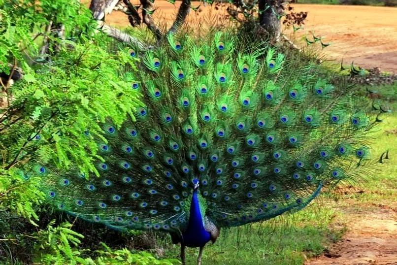 GIF uploaded by S