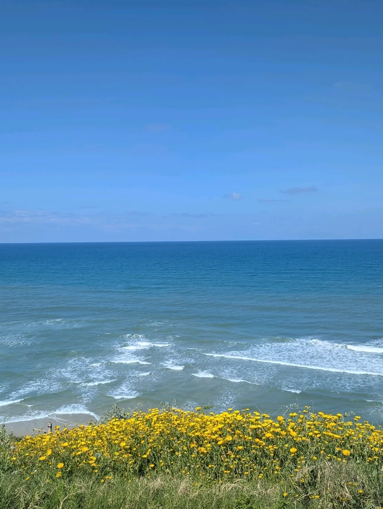 GIF uploaded by Aviv