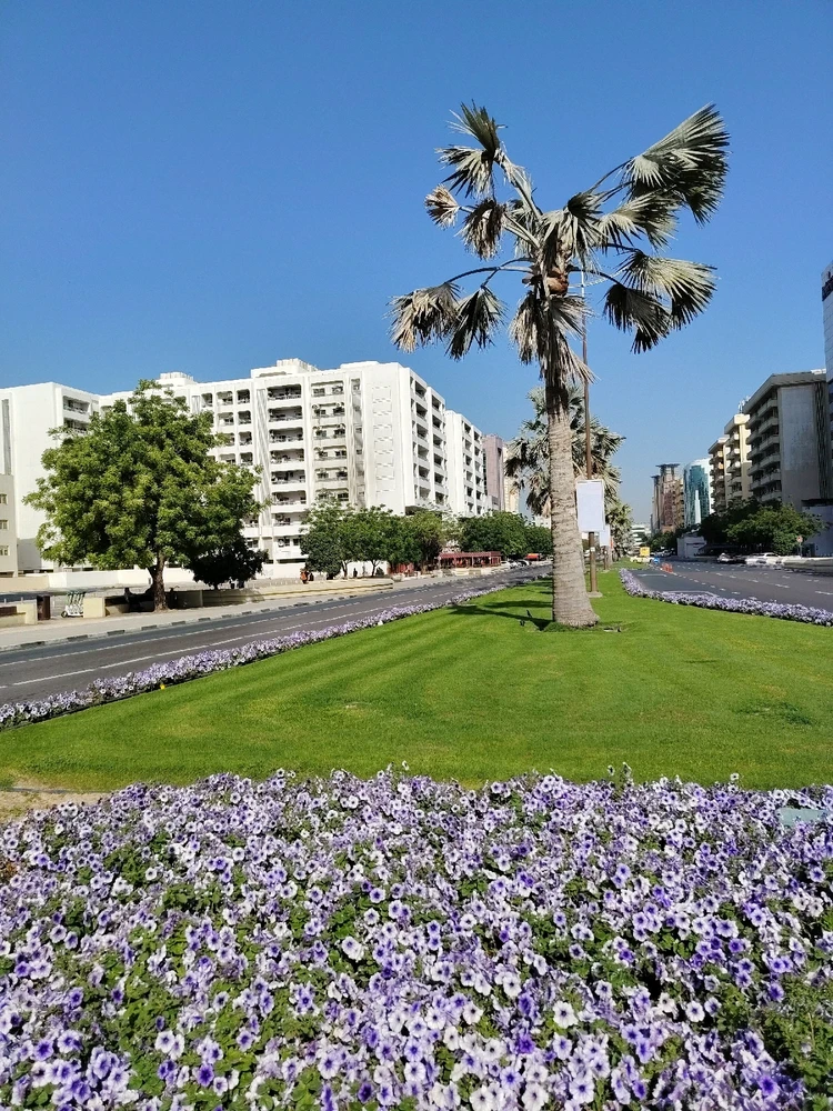 GIF uploaded by Veron