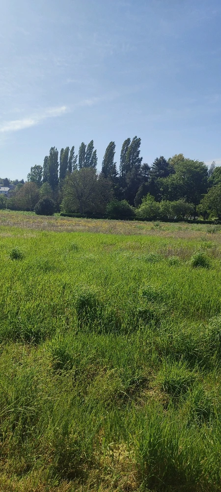 Image ajoutée par Fafa