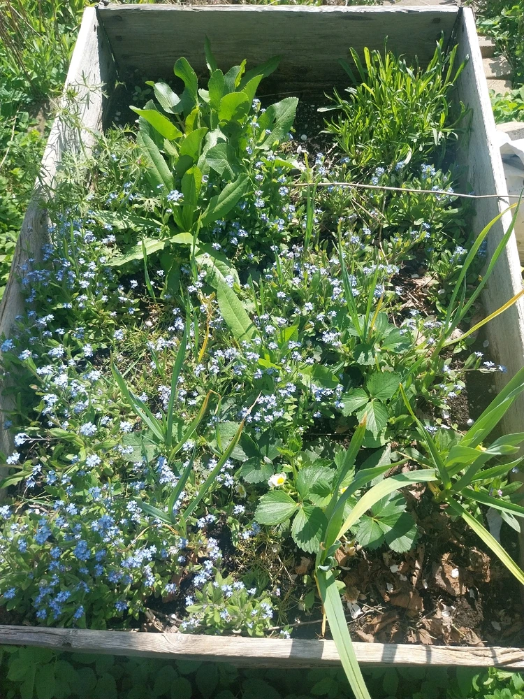 GIF hochgeladen von felix